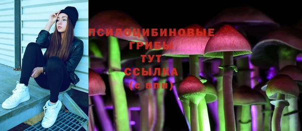 ГАЛЛЮЦИНОГЕННЫЕ ГРИБЫ Балахна