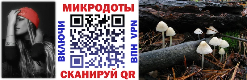 где купить наркотик  Грайворон  Галлюциногенные грибы Magic Shrooms 